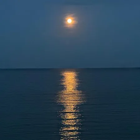 Oazis Sea View * Ravda